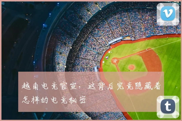 越南电竞官宣，这背后究竟隐藏着怎样的电竞秘密