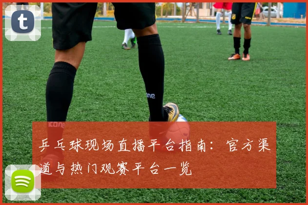 乒乓球现场直播平台指南:官方渠道与热门观赛平台一览
