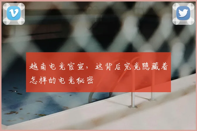 越南电竞官宣，这背后究竟隐藏着怎样的电竞秘密